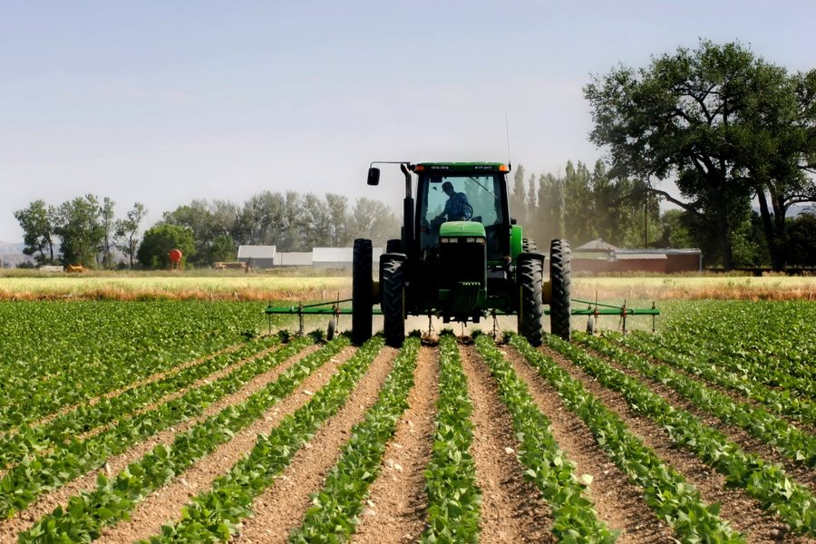 87 mln euro për naftë pa taksa në bujqësi në 5 vite, skema mbyllet në 2026